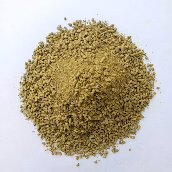 Extracto de flor de crisantemo salvaje de fábrica GMP/polen de crisantemo de alimentación L Indicum de crisantemo