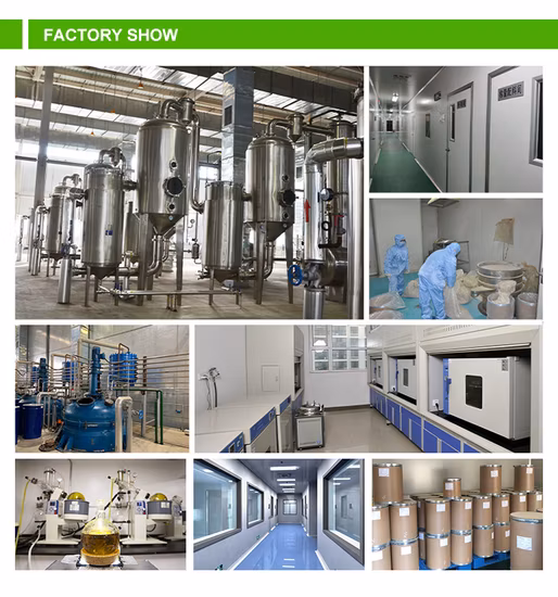 Extracto puro de hongo Shiitake Lentinan Shiitake Beta D glucano